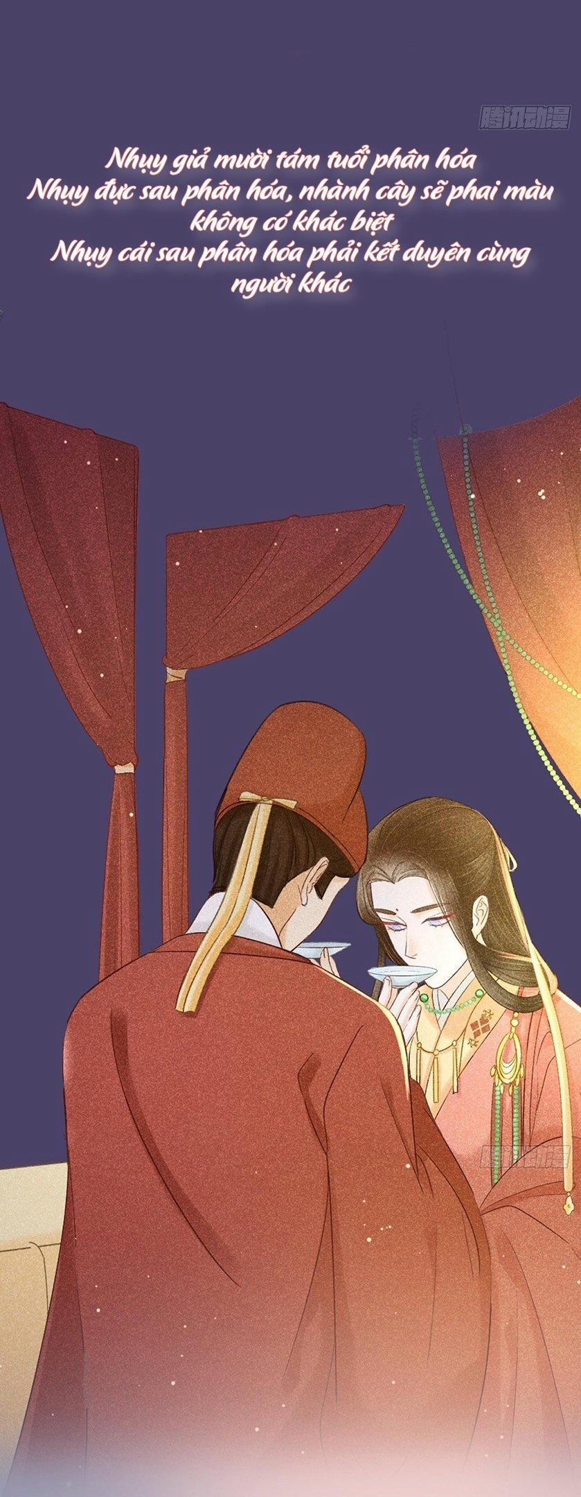 Nhụy Mật 0 trang 7