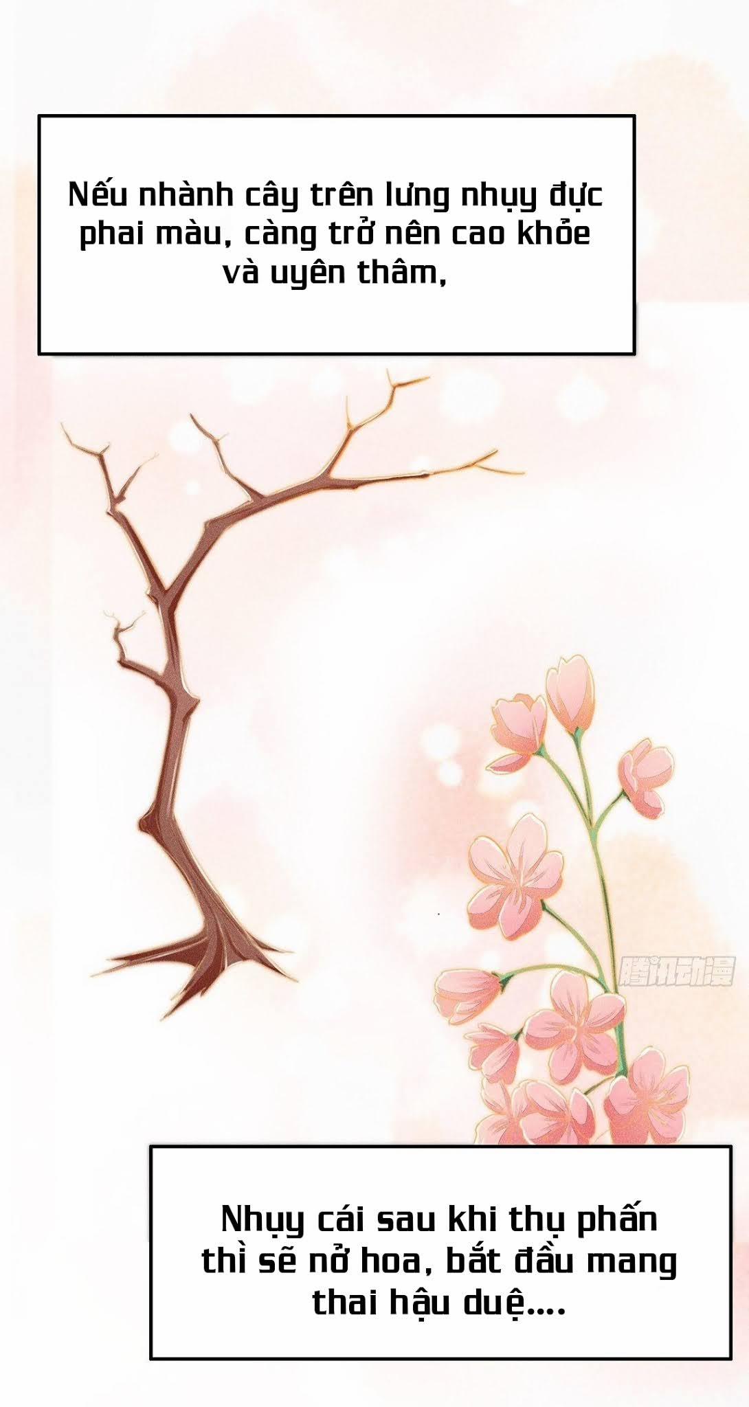 Nhụy Mật 1 trang 8