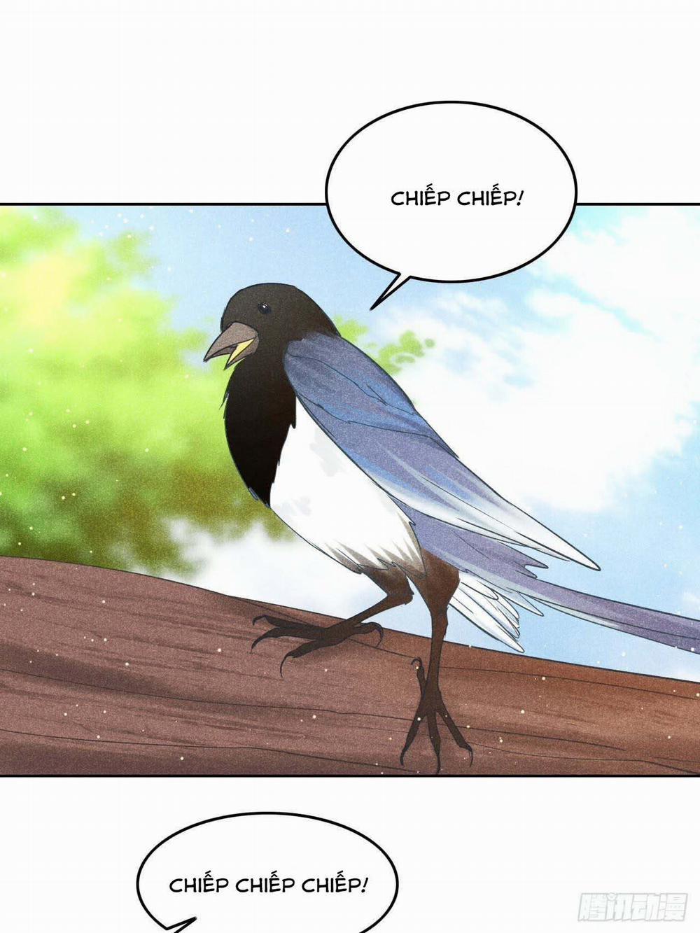 Nhụy Mật 11 trang 28