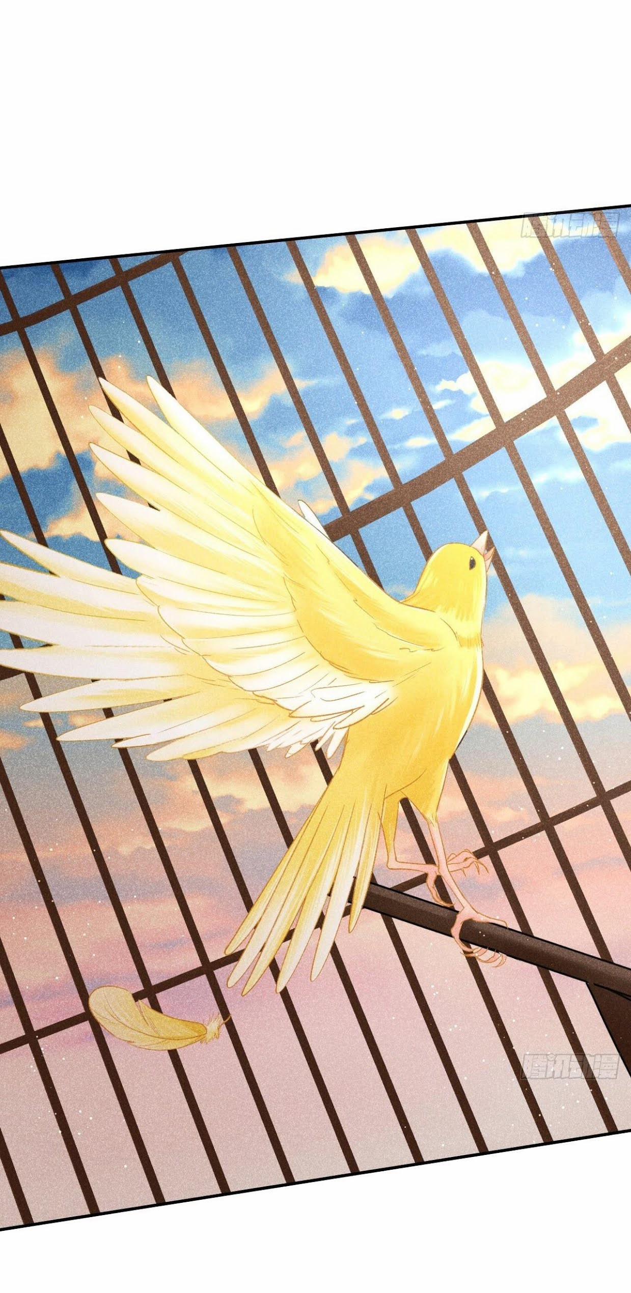 Nhụy Mật 3 trang 65