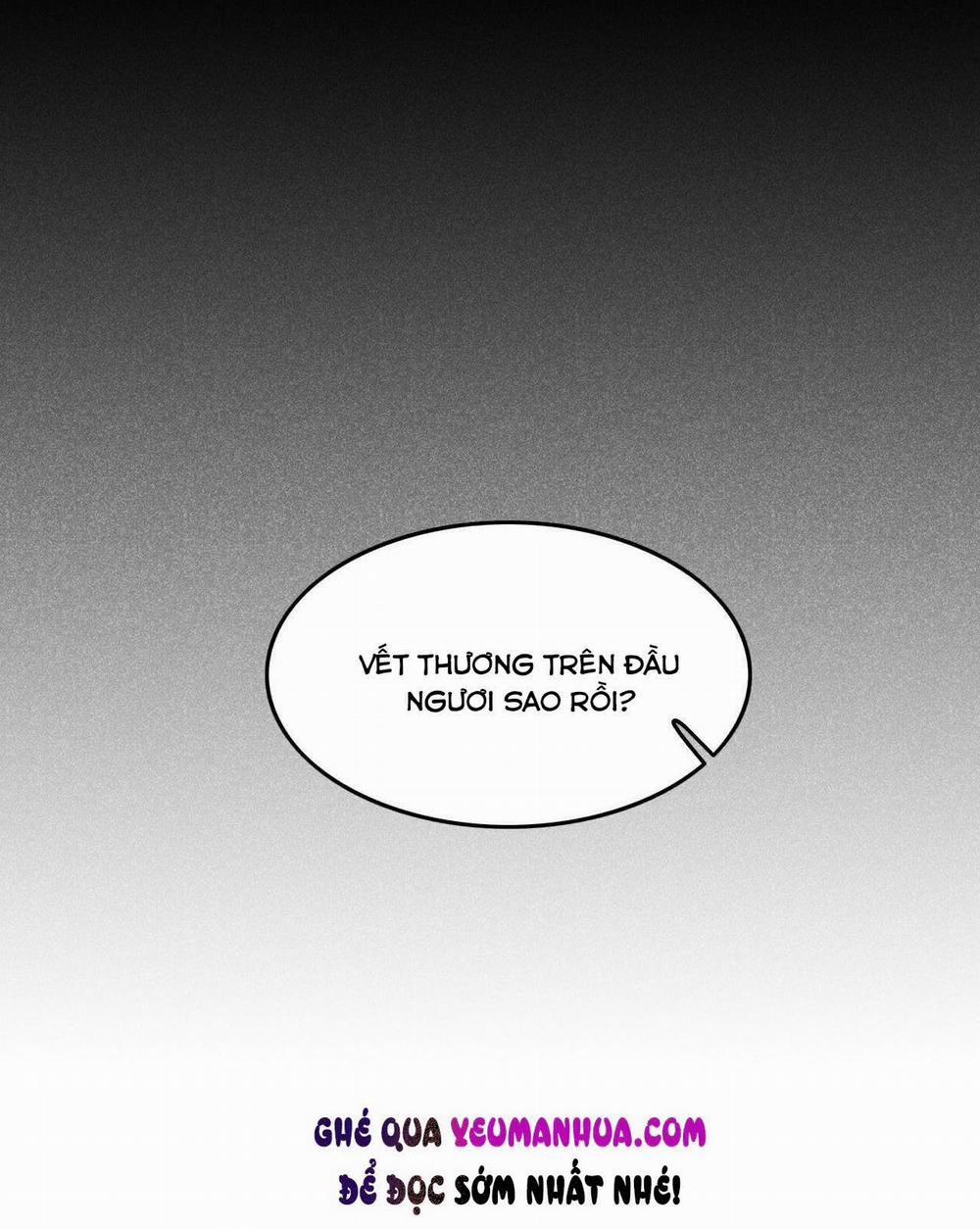 Nhụy Mật 8 trang 1