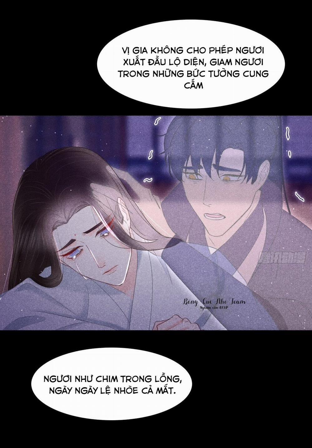 Nhụy Mật 8 trang 13