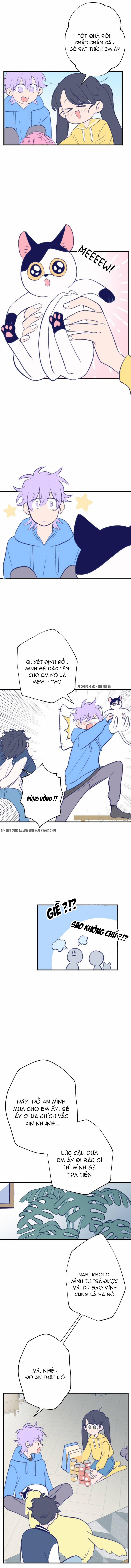 Nice To Meet You 13 trang 5