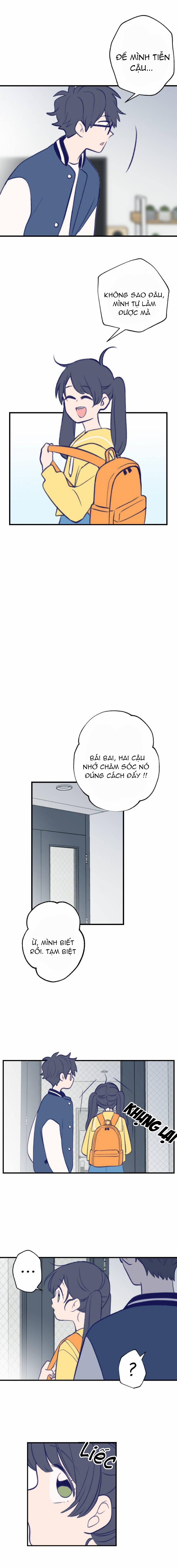 Nice To Meet You 13 trang 8