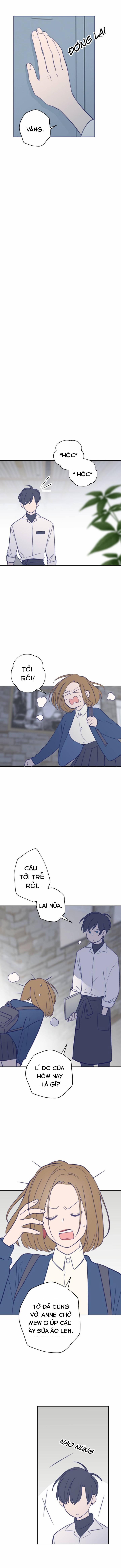 Nice To Meet You 29 trang 1