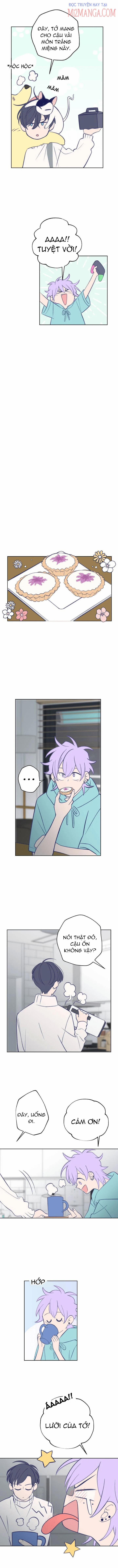 Nice To Meet You 32 trang 8