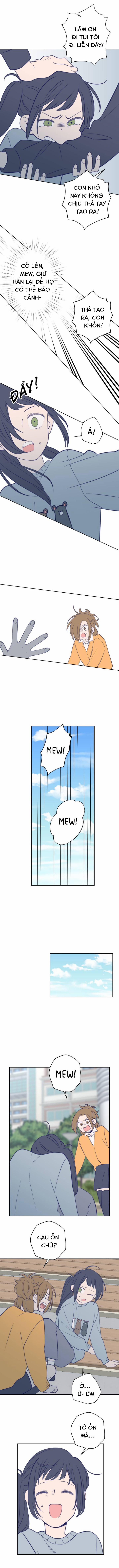 Nice To Meet You 39 trang 7