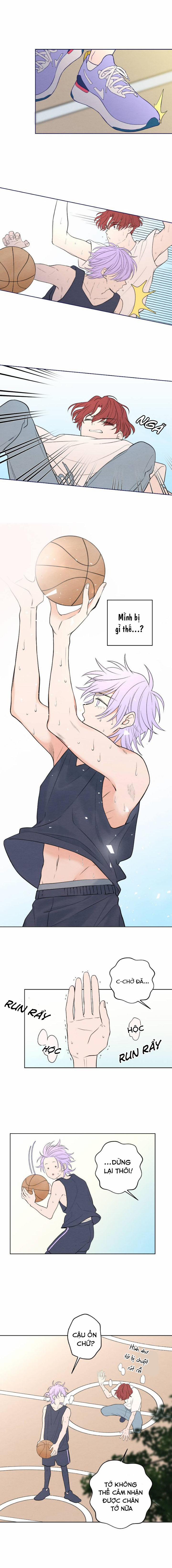 Nice To Meet You 42 trang 3