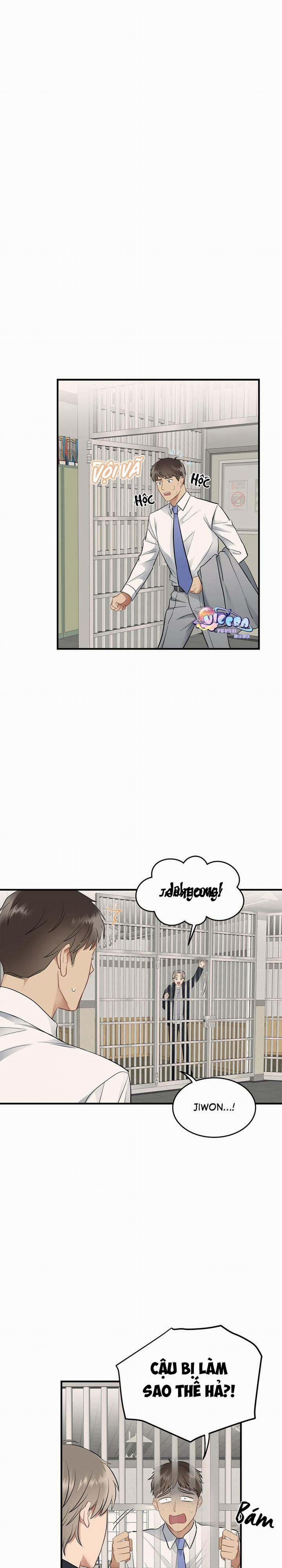 Niềm An Ủi Ngày Chủ Nhật 14 trang 15