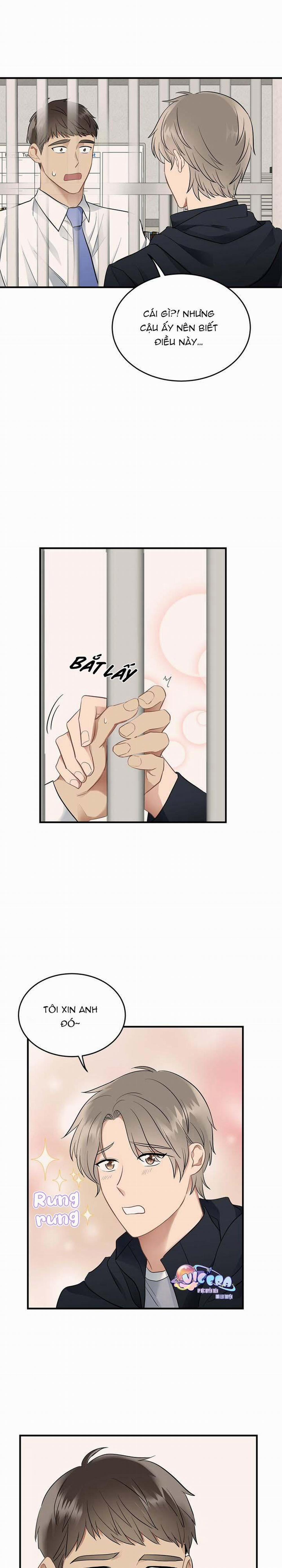 Niềm An Ủi Ngày Chủ Nhật 14 trang 19