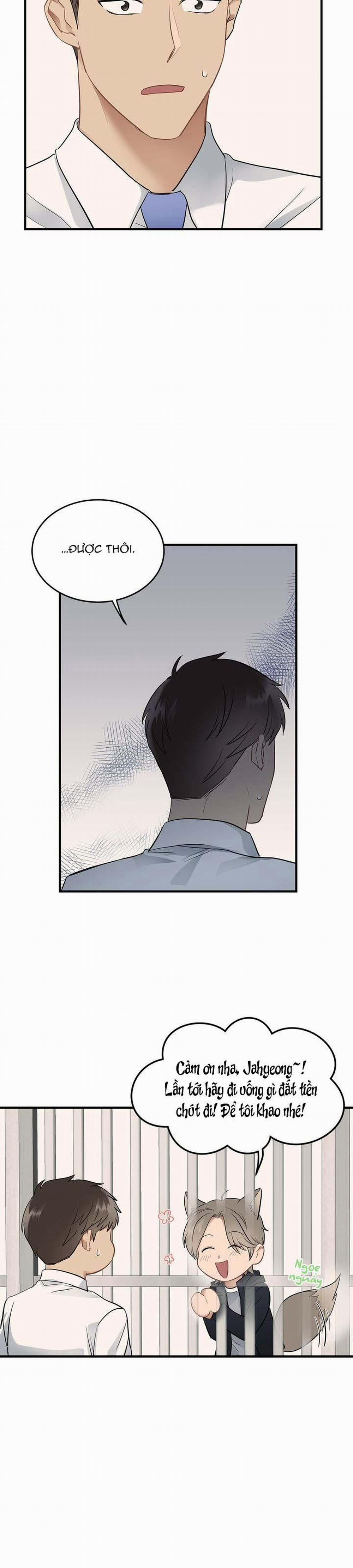 Niềm An Ủi Ngày Chủ Nhật 14 trang 20