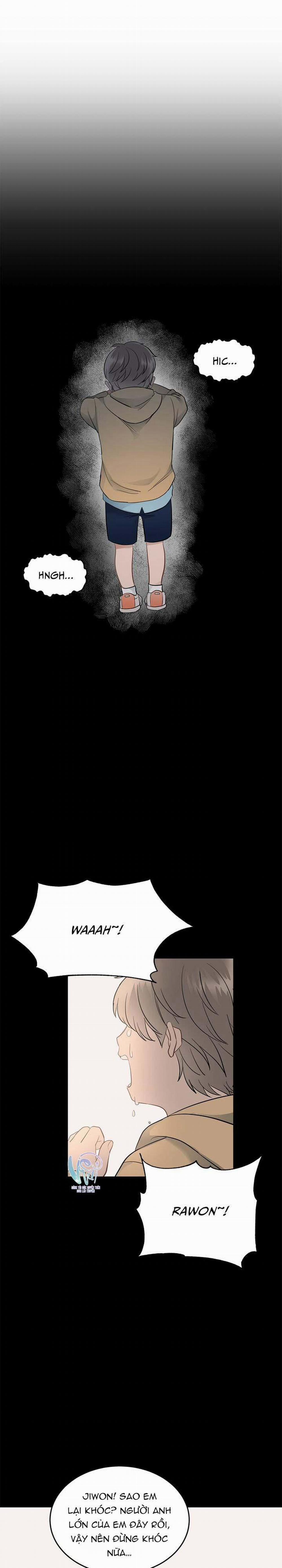 Niềm An Ủi Ngày Chủ Nhật 15 trang 19