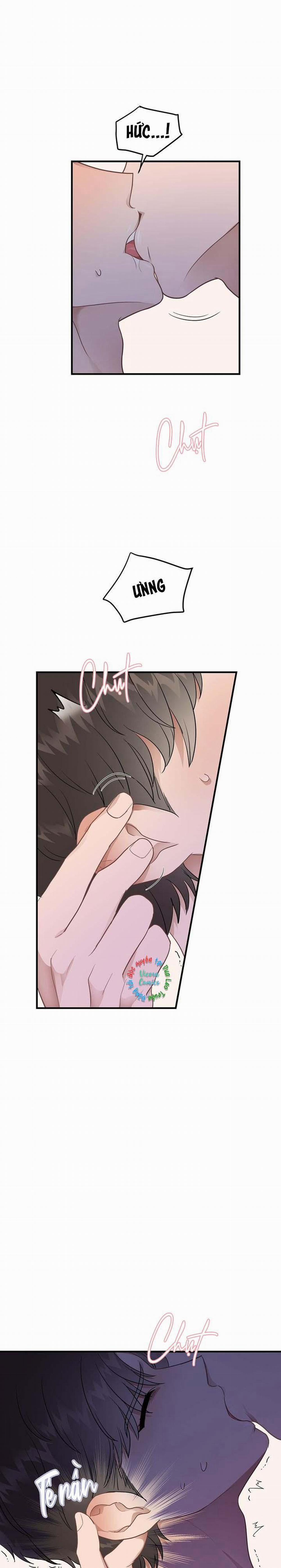 Niềm An Ủi Ngày Chủ Nhật 21 trang 12