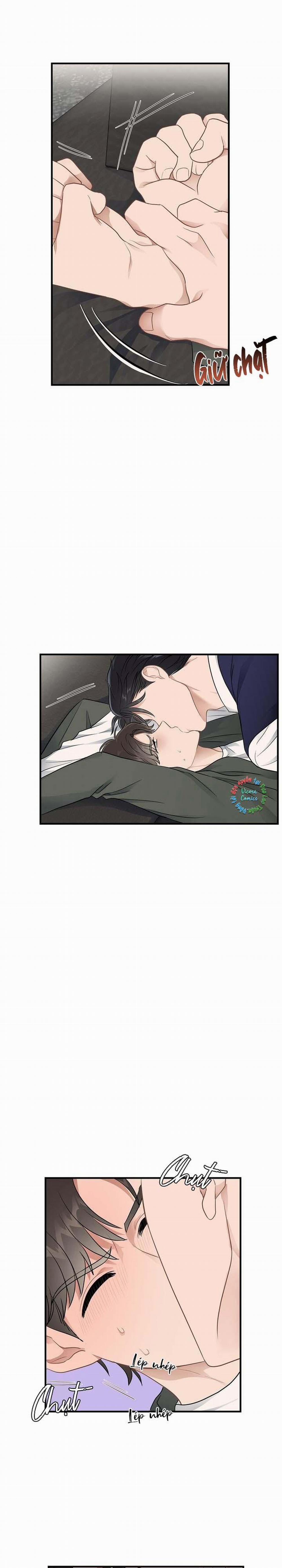 Niềm An Ủi Ngày Chủ Nhật 21 trang 14