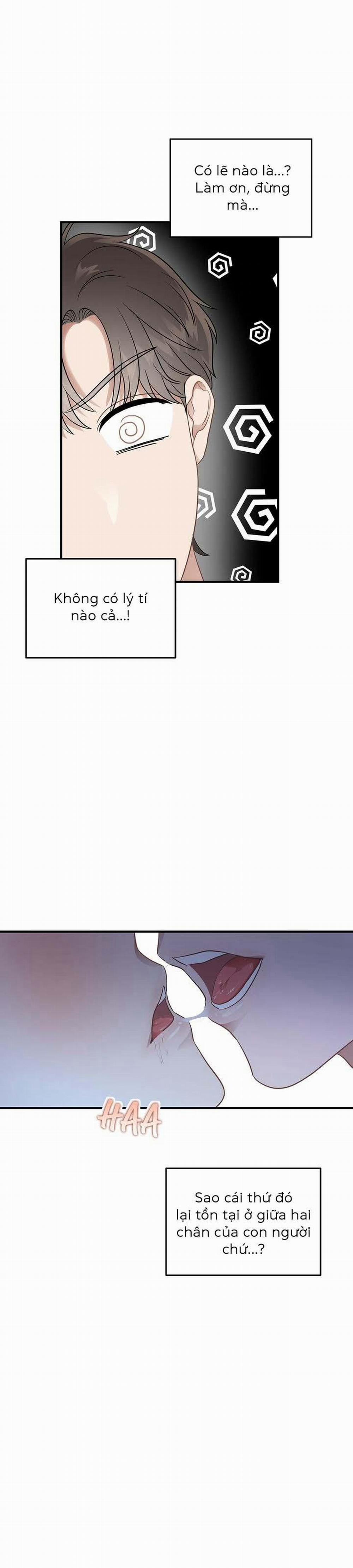 Niềm An Ủi Ngày Chủ Nhật 21 trang 17