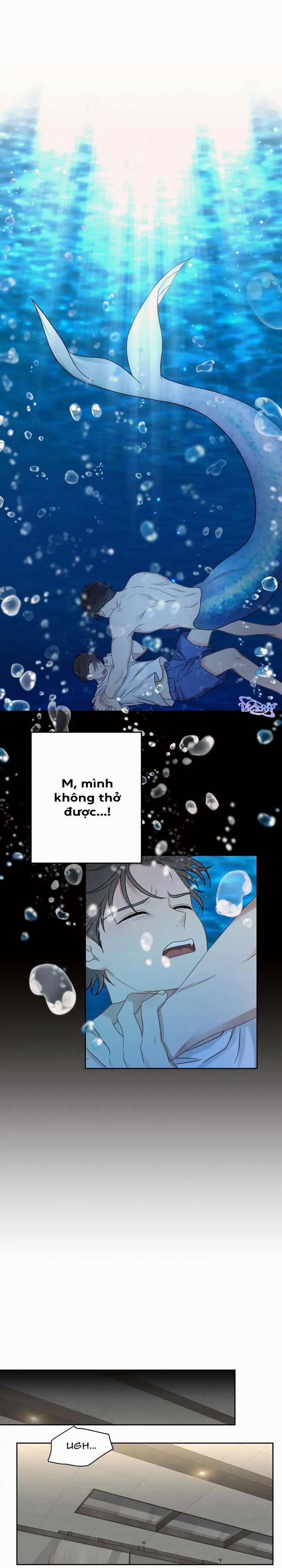 Niềm An Ủi Ngày Chủ Nhật 26 trang 22