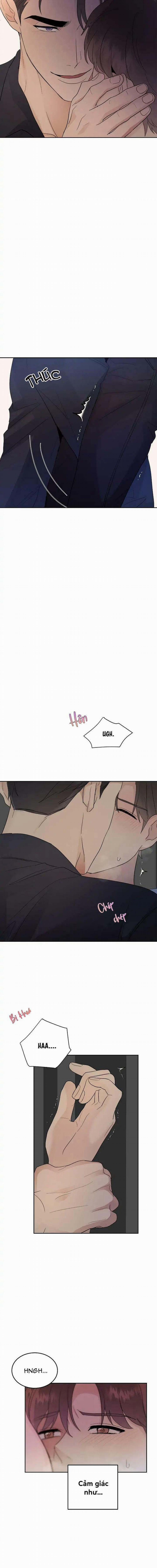 Niềm An Ủi Ngày Chủ Nhật 29 trang 12