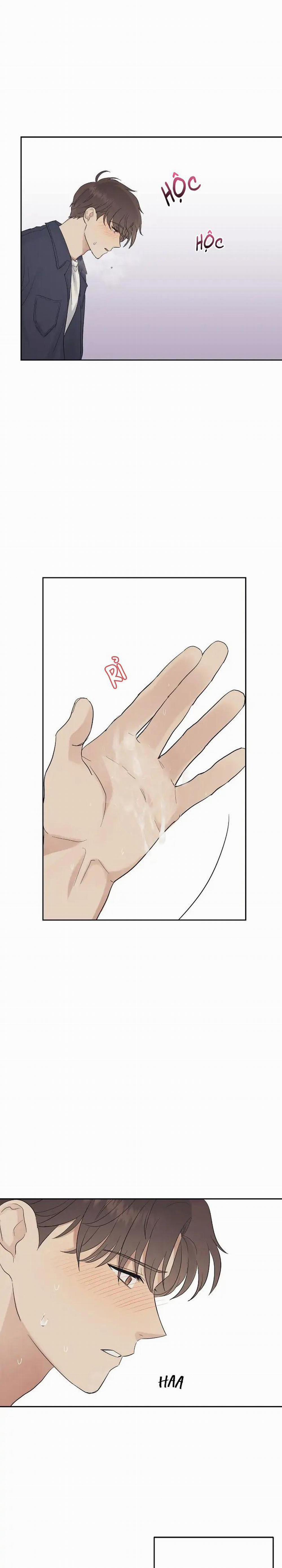 Niềm An Ủi Ngày Chủ Nhật 32 trang 17