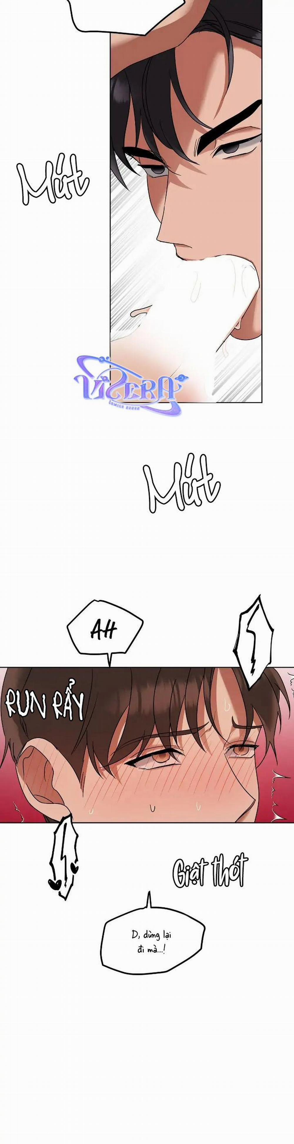 Niềm An Ủi Ngày Chủ Nhật 40 trang 10