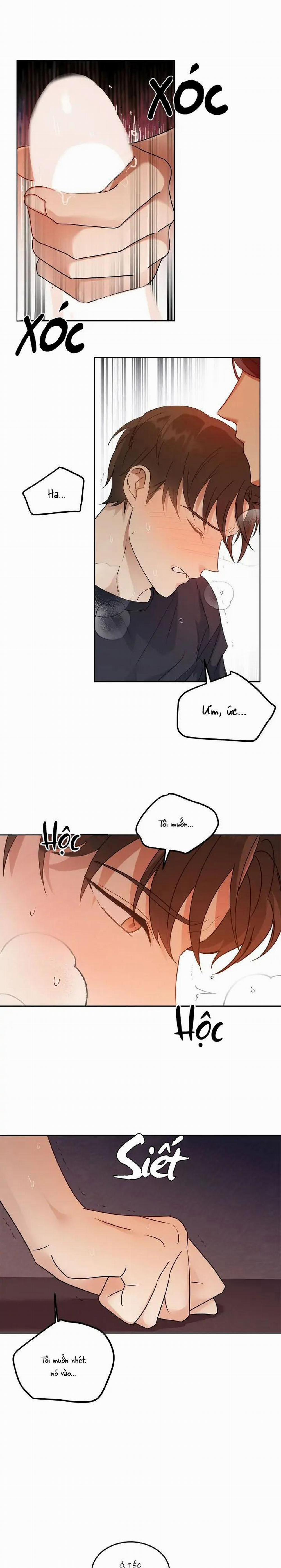 Niềm An Ủi Ngày Chủ Nhật 40 trang 5