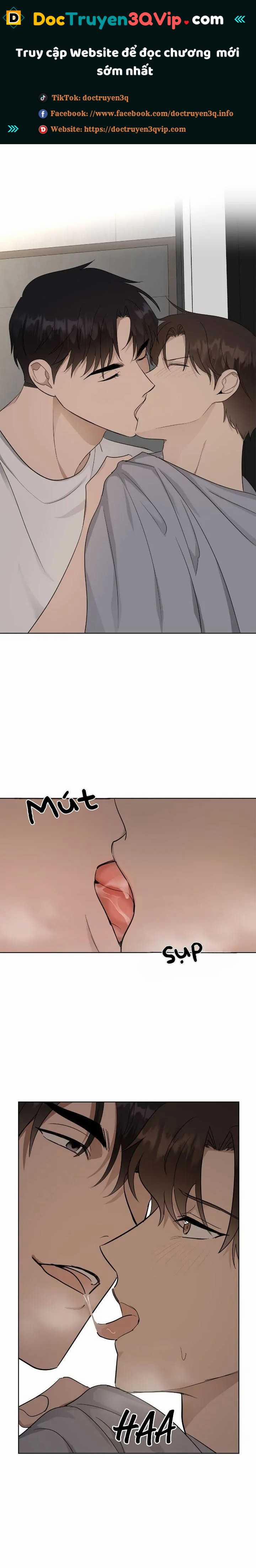 Niềm An Ủi Ngày Chủ Nhật 44 trang 0