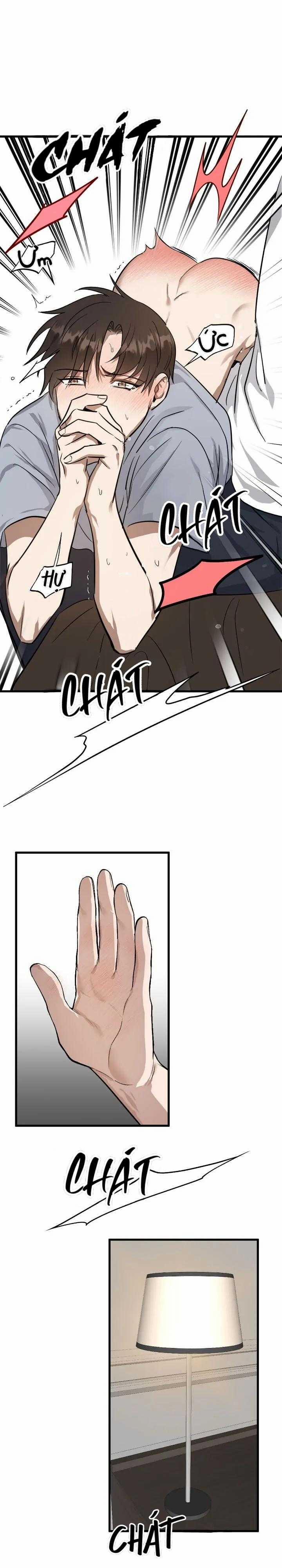 Niềm An Ủi Ngày Chủ Nhật 44 trang 12