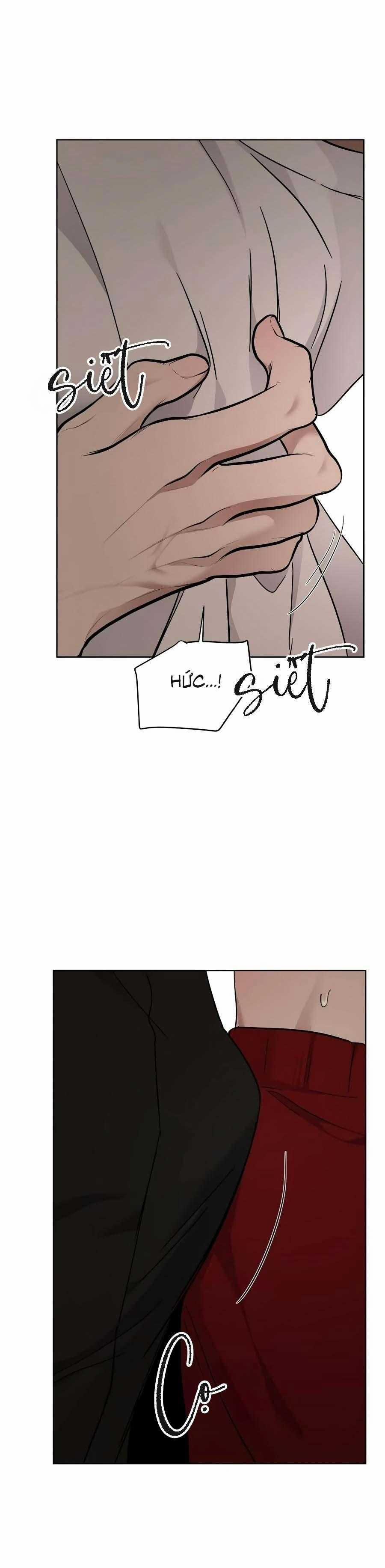 Niềm An Ủi Ngày Chủ Nhật 57 trang 11