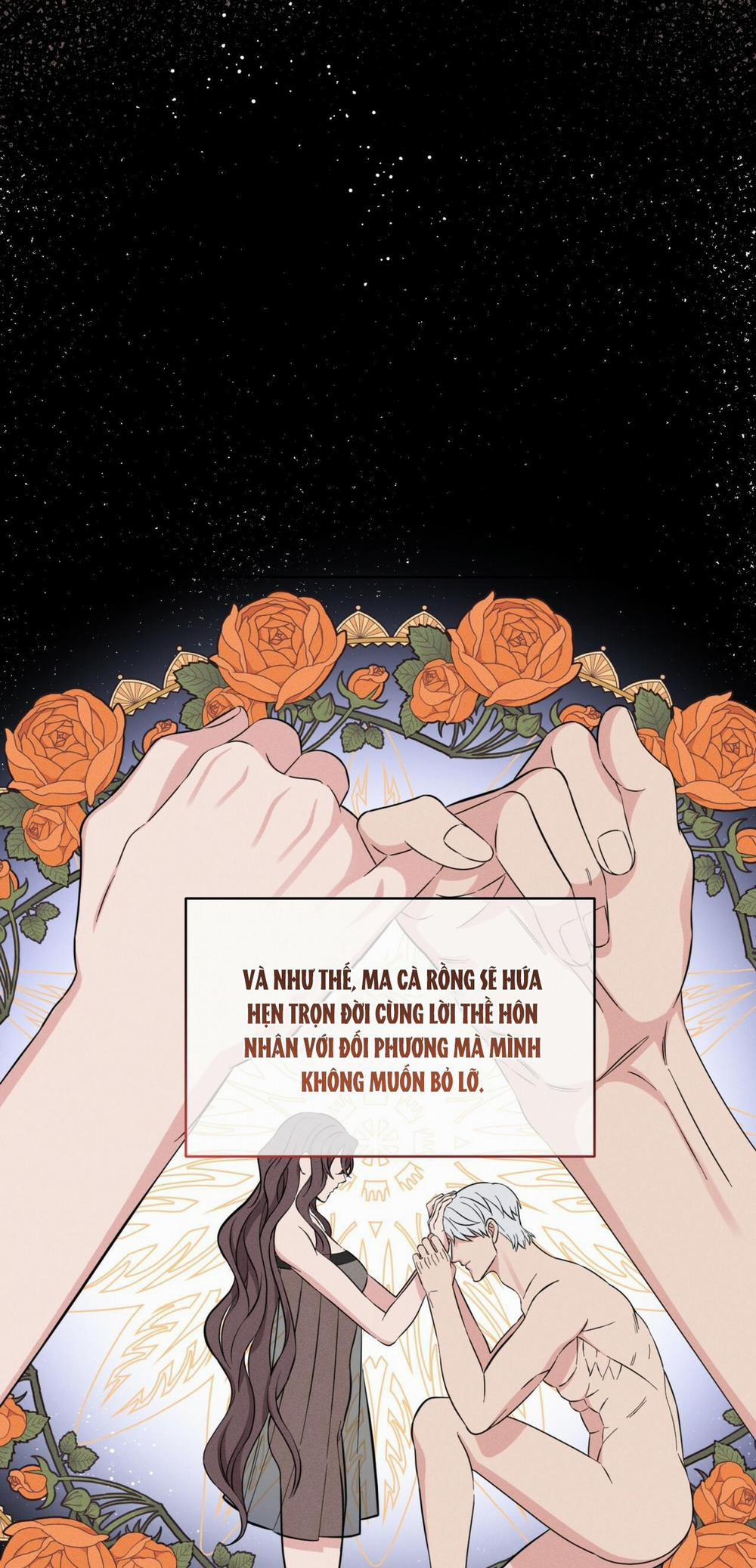 NIGHT OF LONDON 11 trang 3