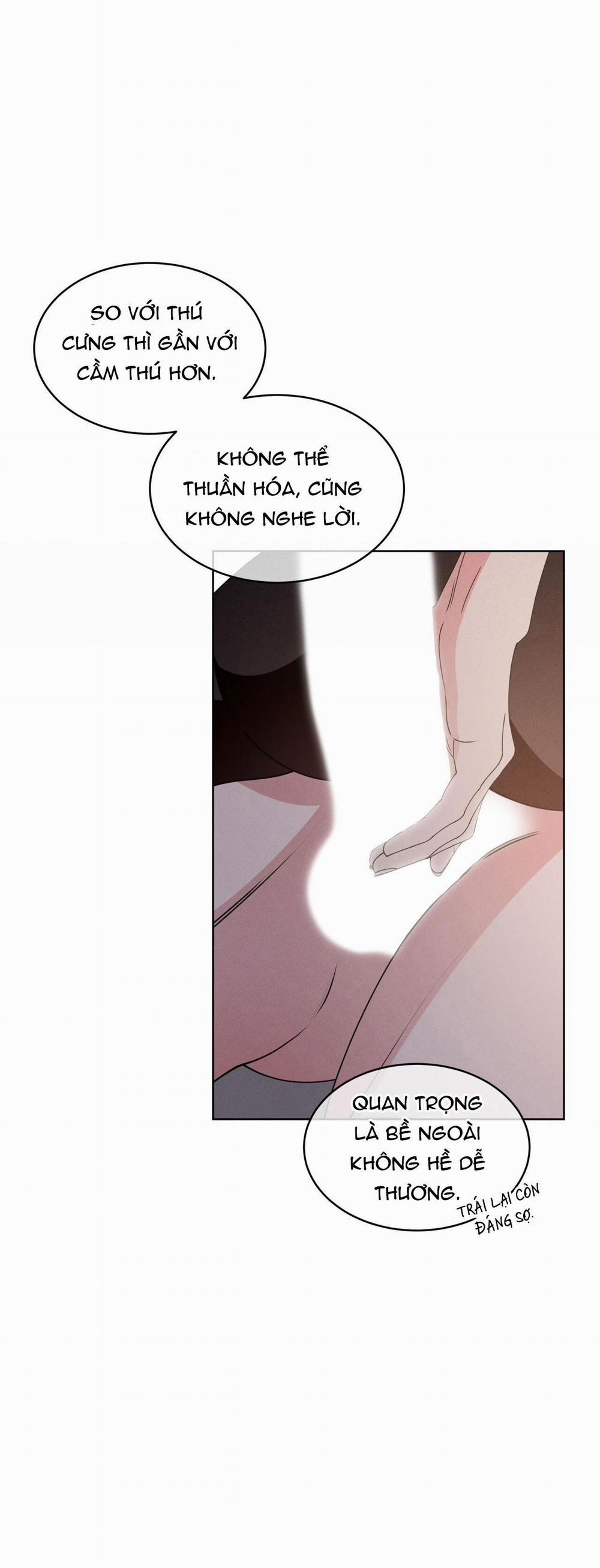 NIGHT OF LONDON 23 trang 21