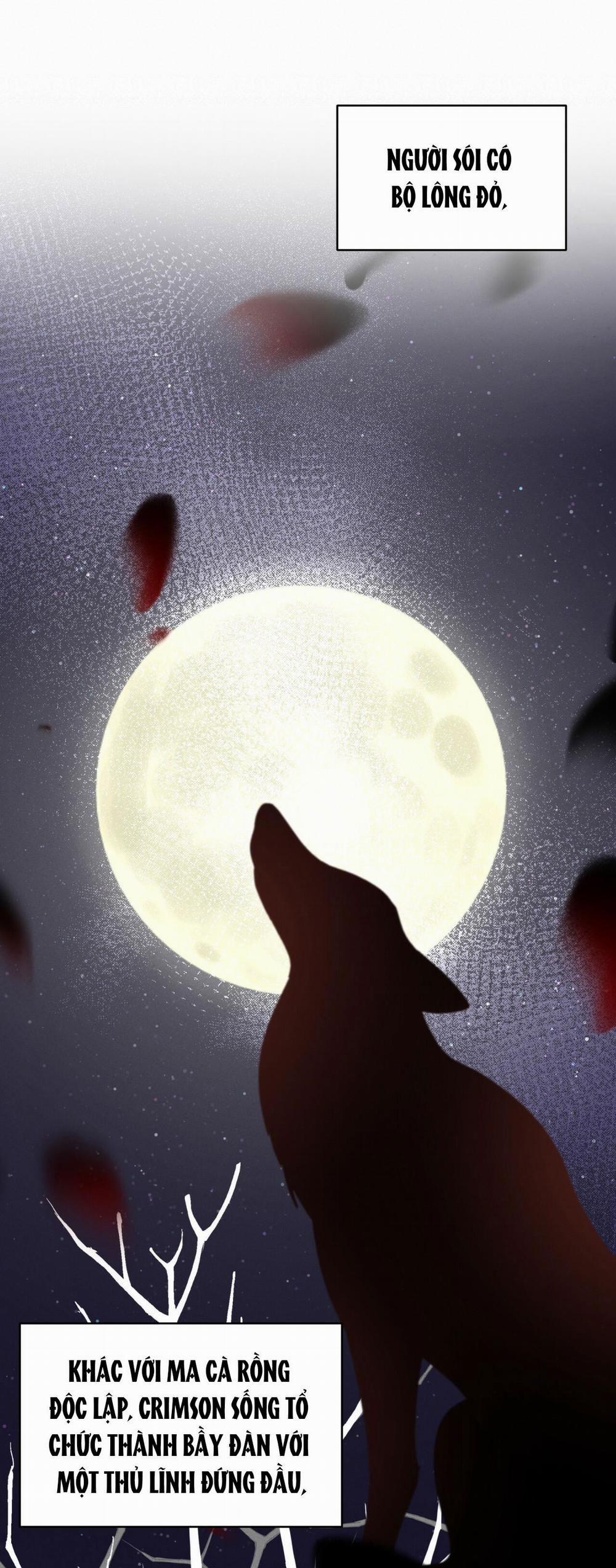 NIGHT OF LONDON 6 trang 45