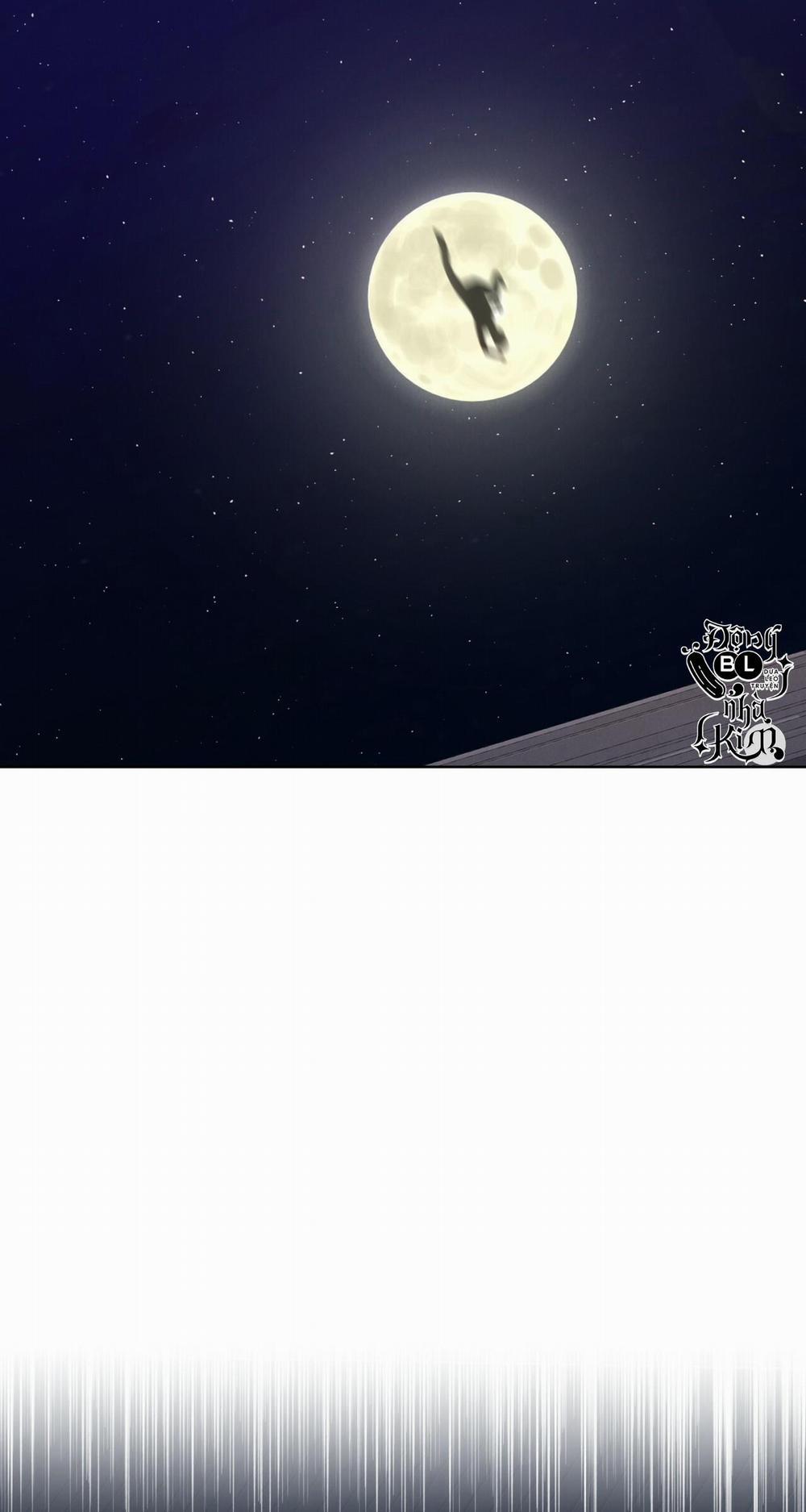 NIGHT OF LONDON 8 trang 15