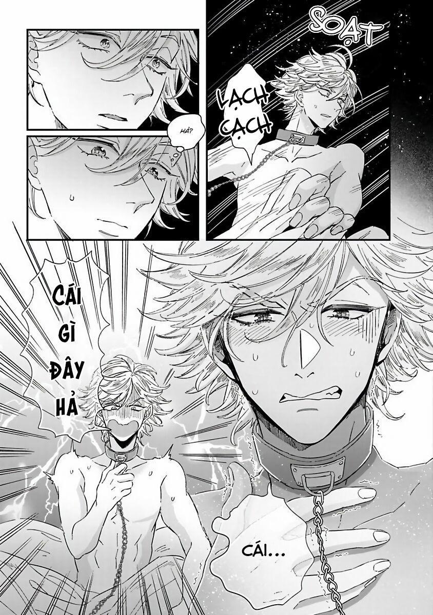 Niizuma Và Arao Lại Một Lần Nữa 3 trang 2