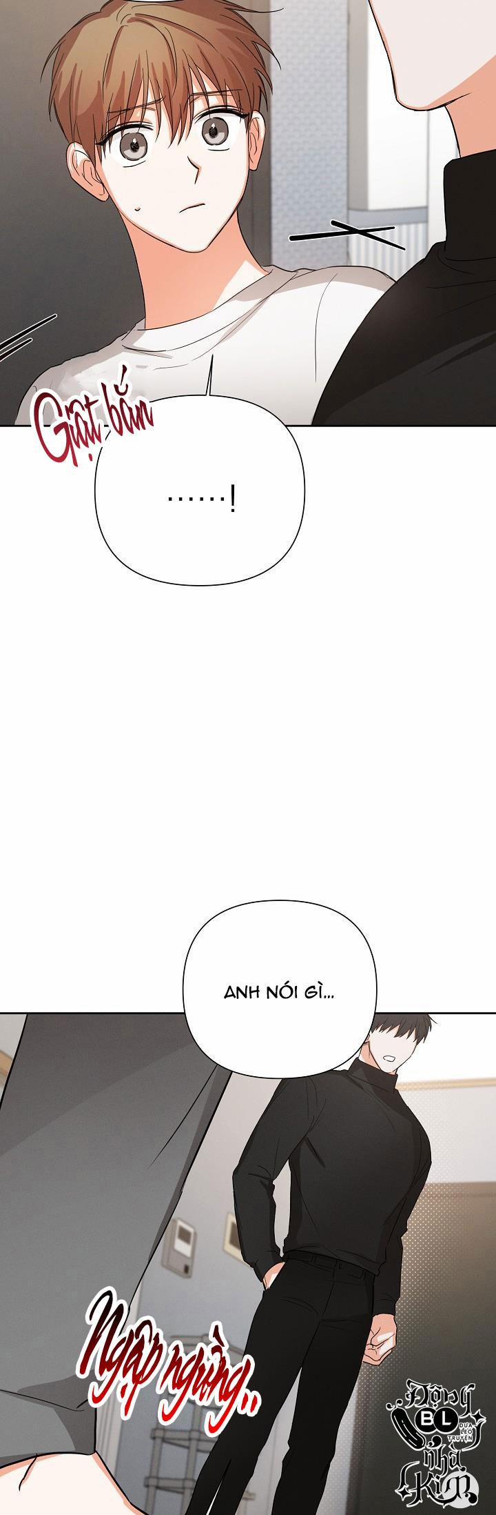 Nine To Nine 19 trang 5