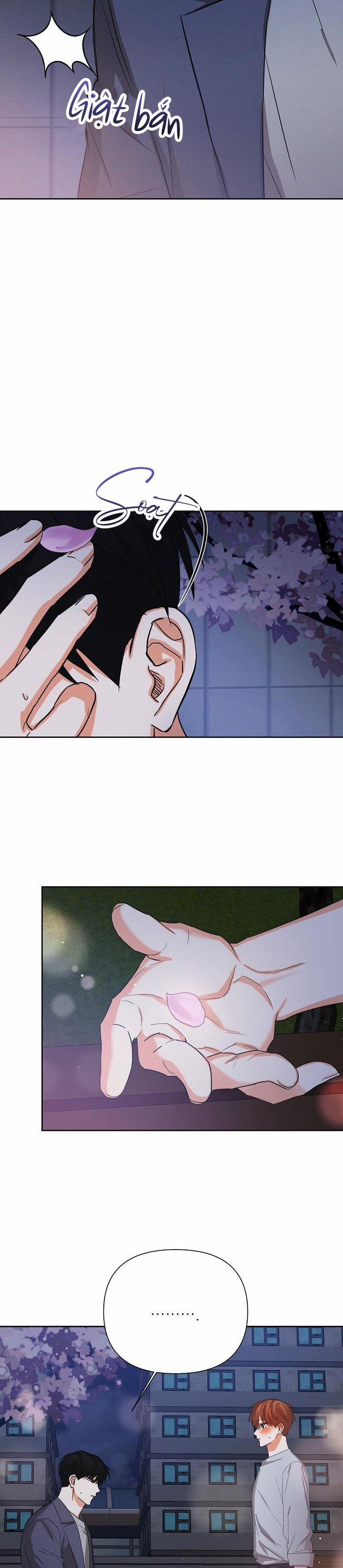 Nine To Nine 33 trang 4