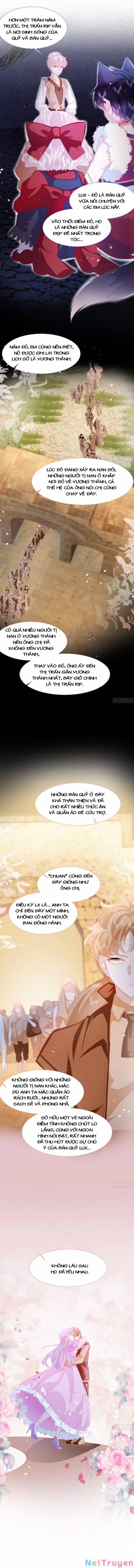 Ninita Yêu Dấu 11 trang 4