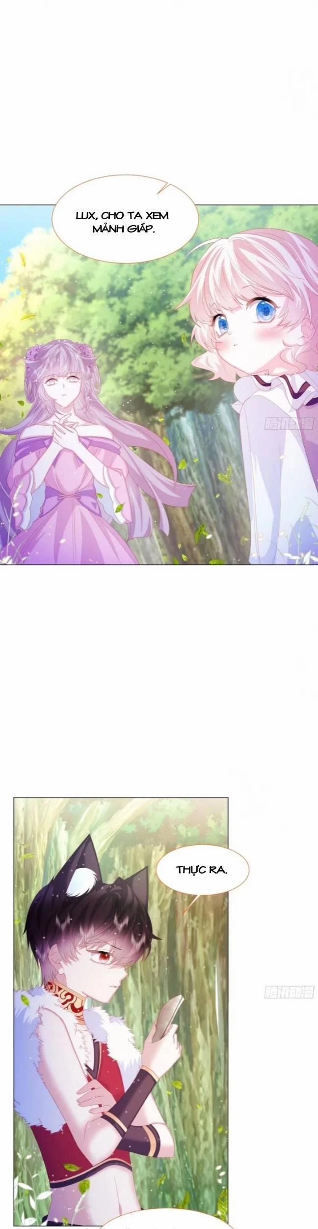 Ninita Yêu Dấu 13 trang 13