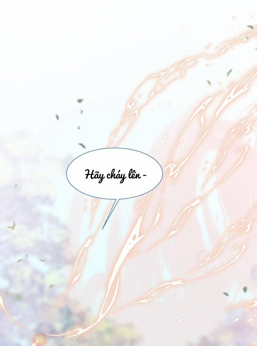 Ninita Yêu Dấu 14 trang 20