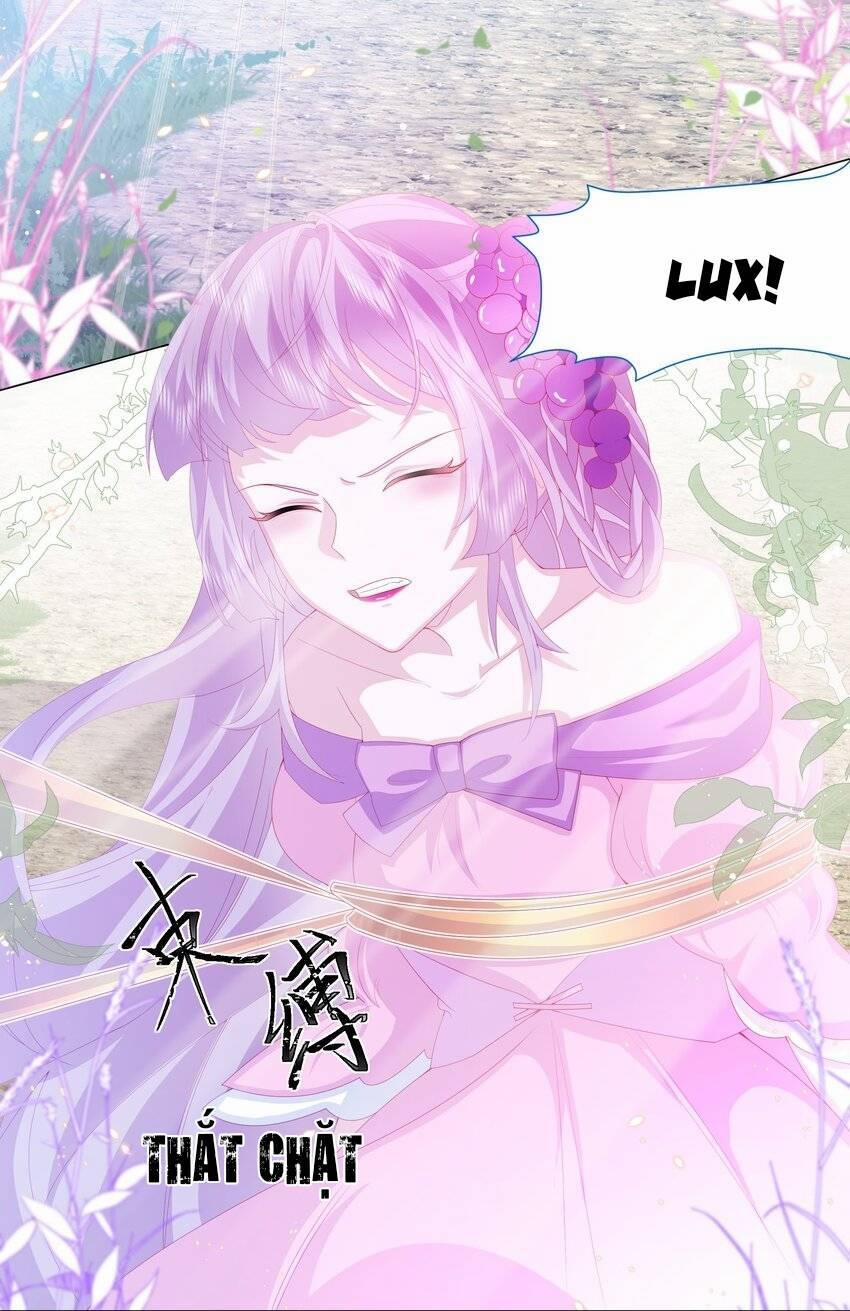 Ninita Yêu Dấu 14 trang 4