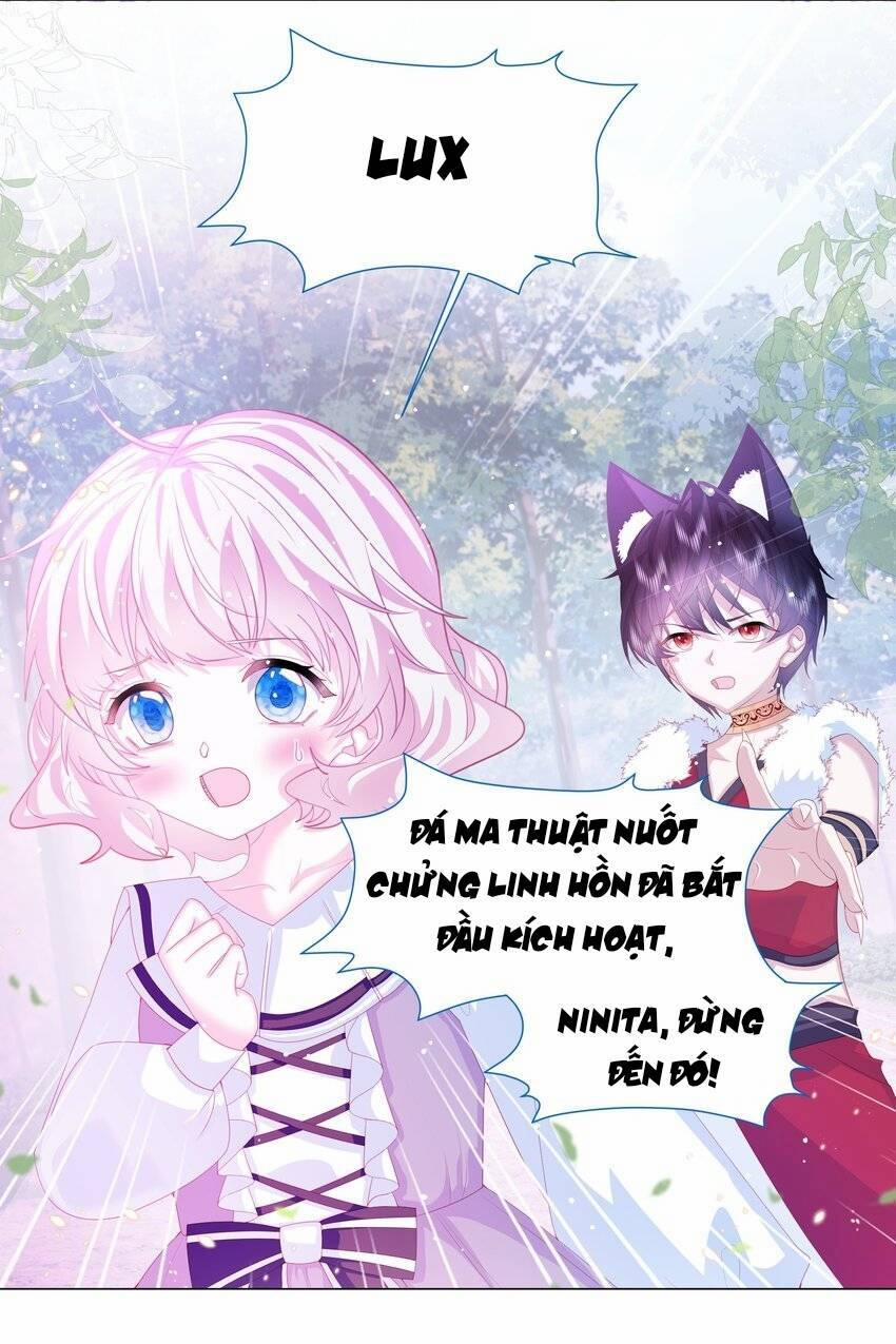 Ninita Yêu Dấu 14 trang 5