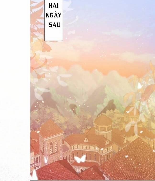 Ninita Yêu Dấu 15 trang 17