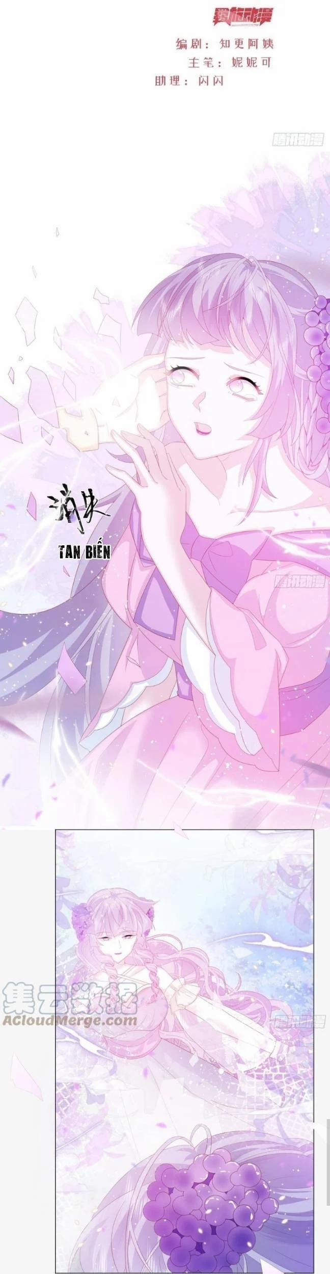 Ninita Yêu Dấu 15 trang 2