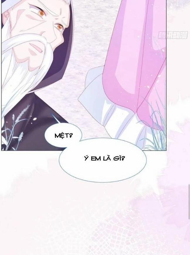 Ninita Yêu Dấu 15 trang 7