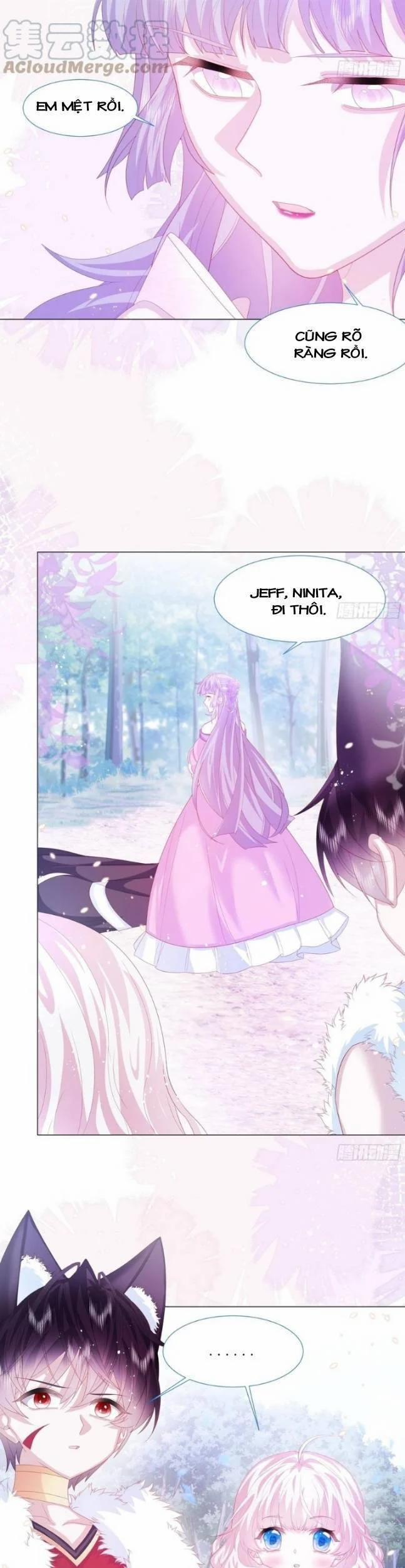 Ninita Yêu Dấu 15 trang 8