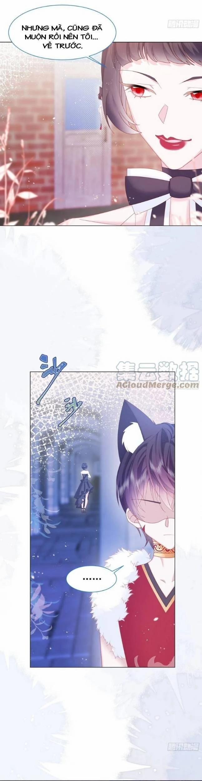 Ninita Yêu Dấu 16 trang 17