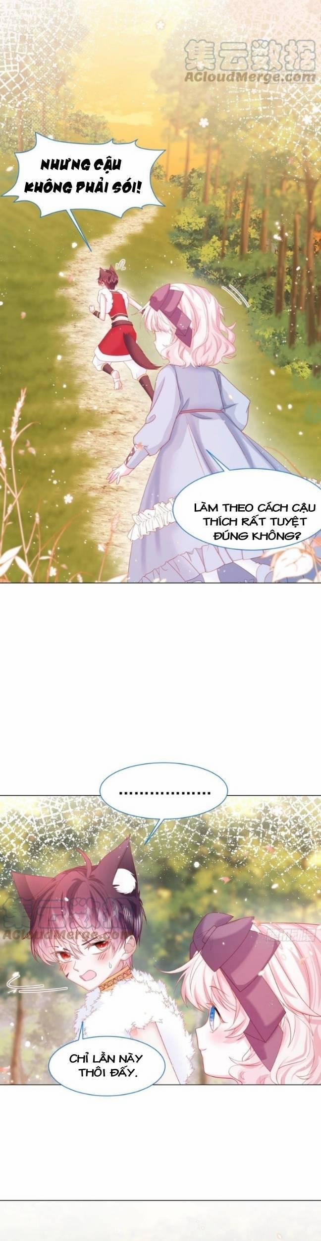 Ninita Yêu Dấu 16 trang 3