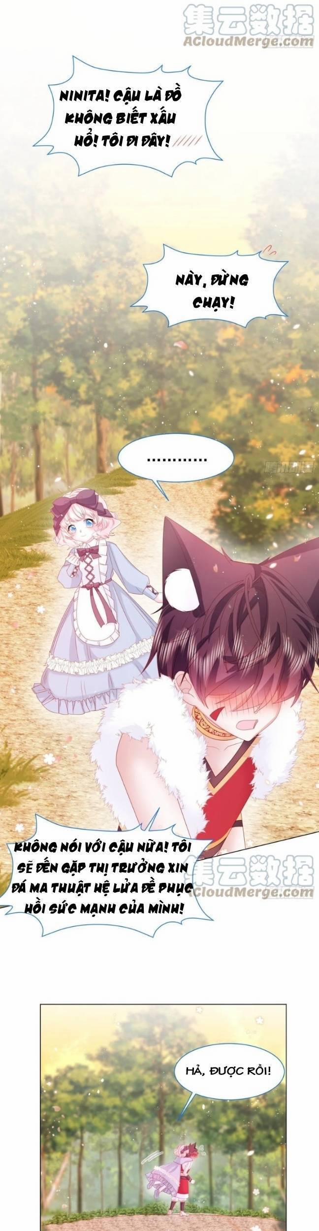 Ninita Yêu Dấu 16 trang 5