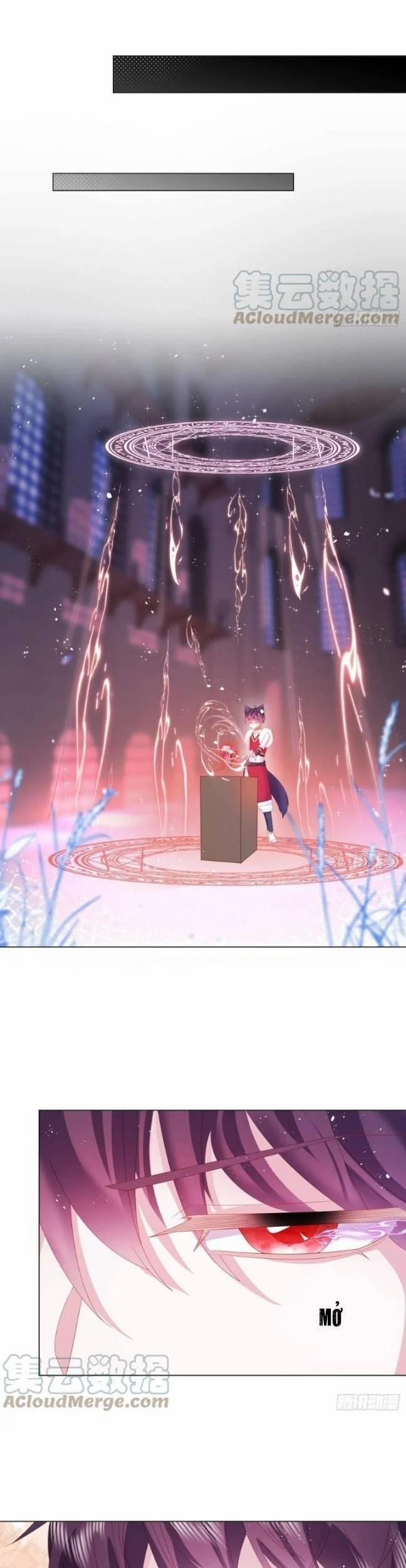 Ninita Yêu Dấu 16 trang 7