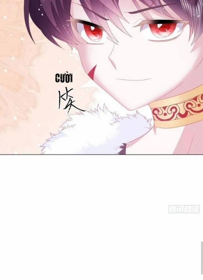 Ninita Yêu Dấu 16 trang 8