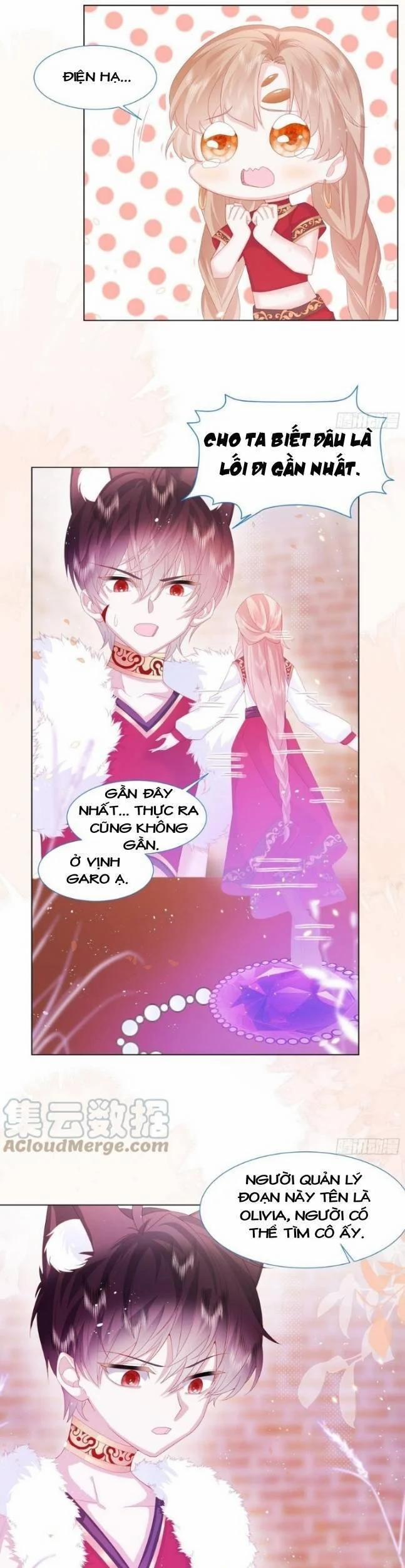 Ninita Yêu Dấu 17 trang 6