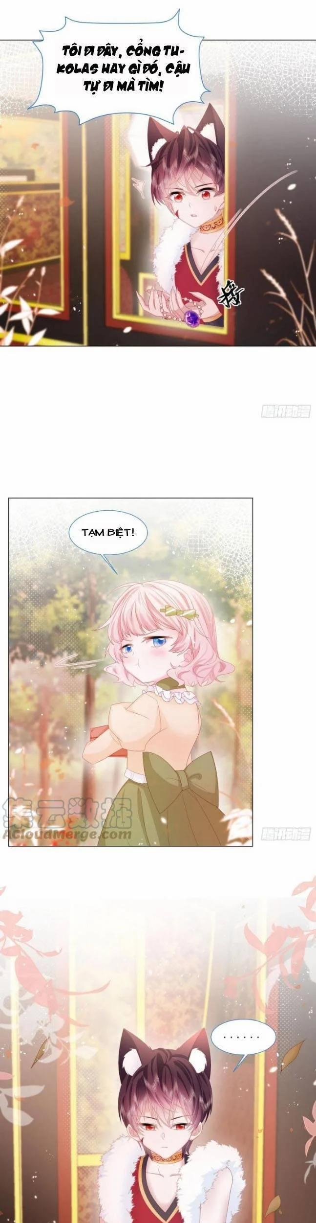 Ninita Yêu Dấu 18 trang 10